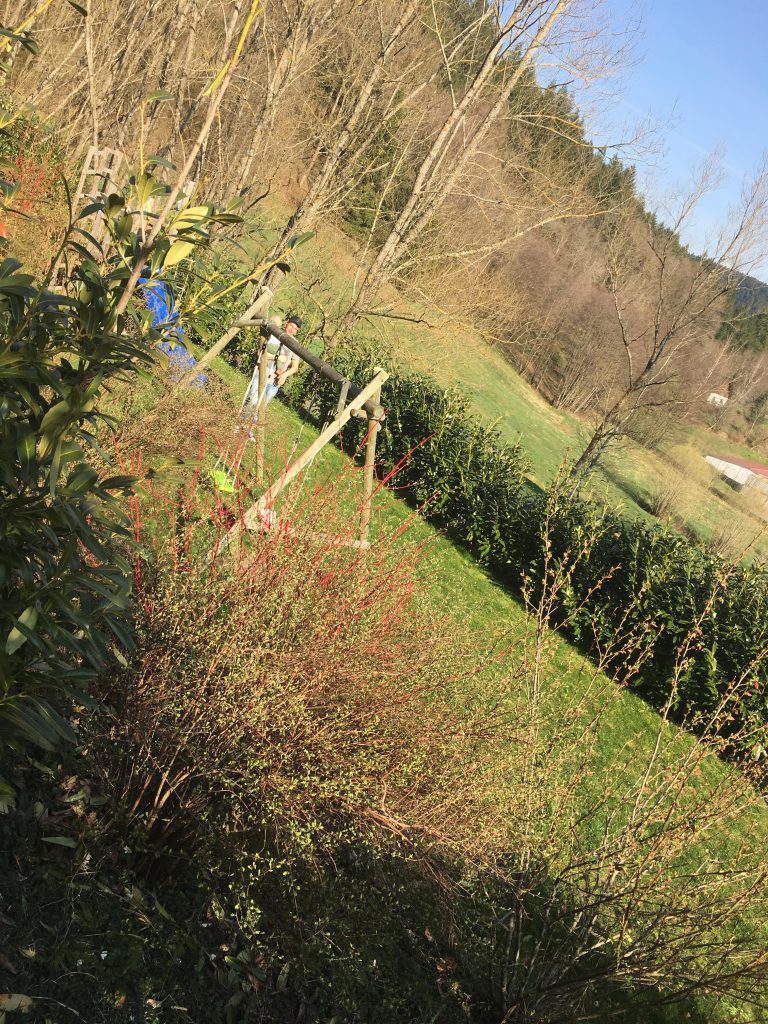 Urlaub mit Kleinkind Deutschland