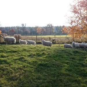 Ausflugsziele Berlin