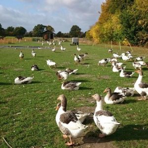 Ausflugsziele Berlin